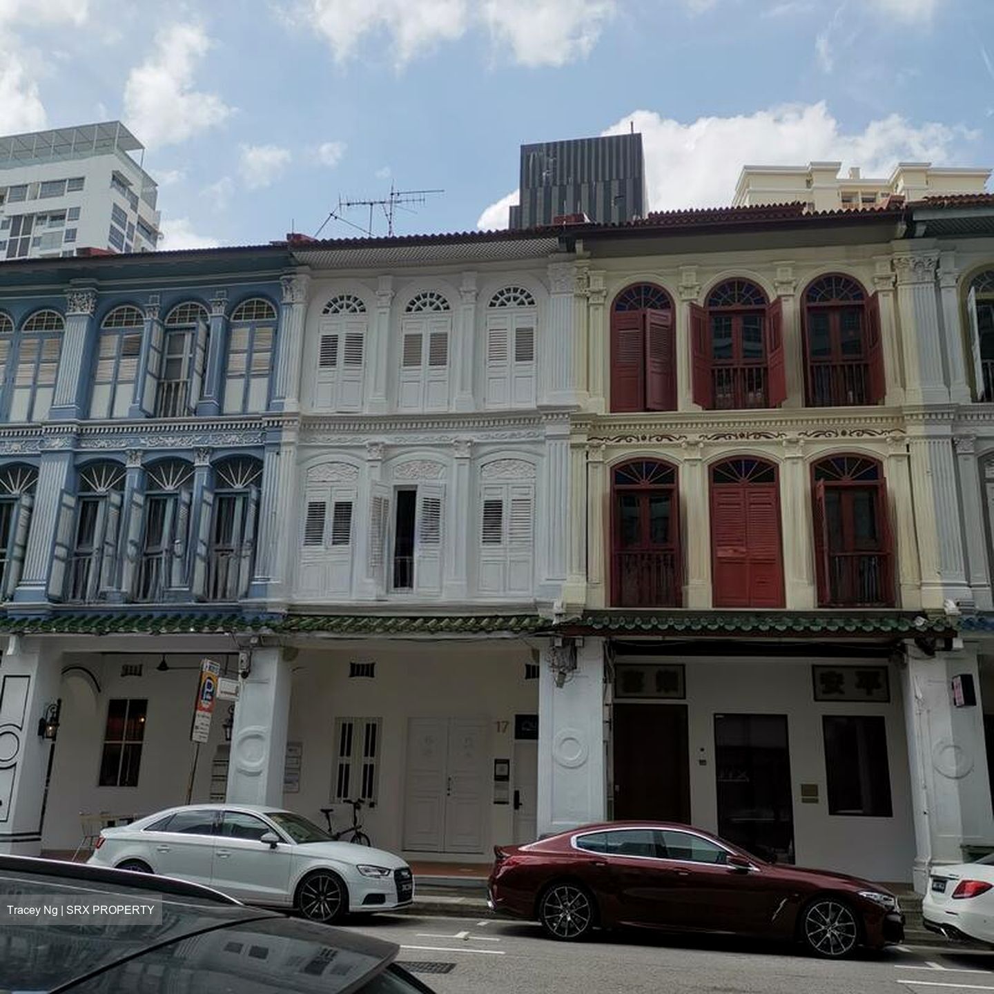 Mohamed Sultan Road (D9), Shop House #525462421
